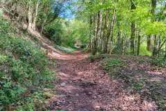 Cam-Longdown-Uley