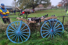 Pedersen bike